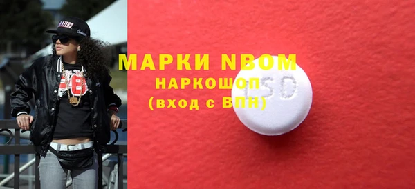 крисы Бородино