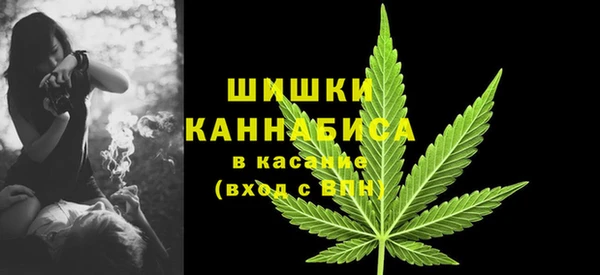 прущая мука Богородск