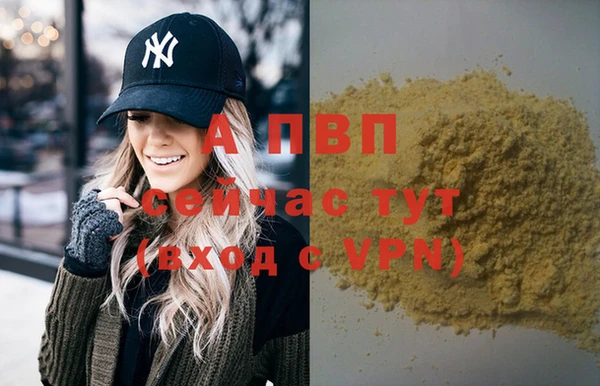 крисы Бородино