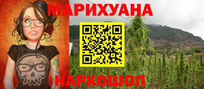 индика Беслан