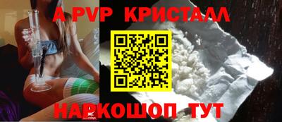 индика Беслан