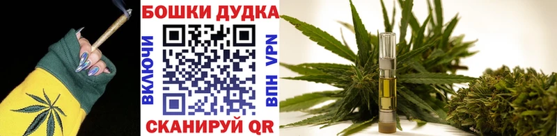 Бошки Шишки индика  Гай 